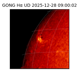 gong - 2025-12-28T09:00:02