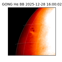 gong - 2025-12-28T16:00:02