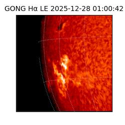 gong - 2025-12-28T01:00:42