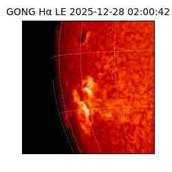 gong - 2025-12-28T02:00:42