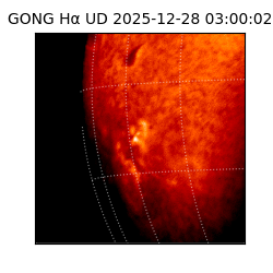 gong - 2025-12-28T03:00:02