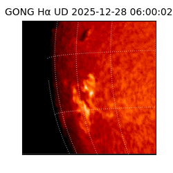 gong - 2025-12-28T06:00:02