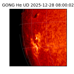 gong - 2025-12-28T08:00:02