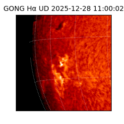 gong - 2025-12-28T11:00:02