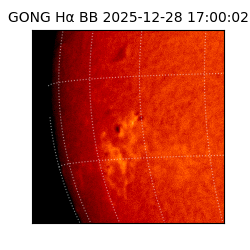 gong - 2025-12-28T17:00:02
