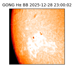 gong - 2025-12-28T23:00:02