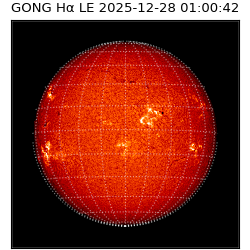gong - 2025-12-28T01:00:42
