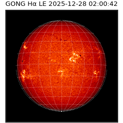 gong - 2025-12-28T02:00:42