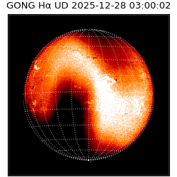 gong - 2025-12-28T03:00:02