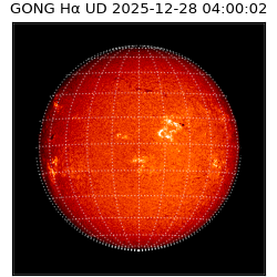 gong - 2025-12-28T04:00:02