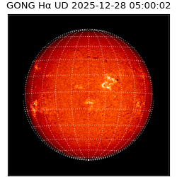 gong - 2025-12-28T05:00:02