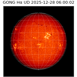 gong - 2025-12-28T06:00:02