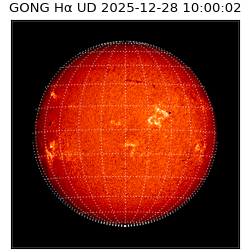 gong - 2025-12-28T10:00:02