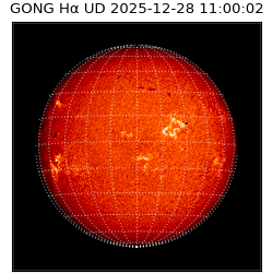 gong - 2025-12-28T11:00:02