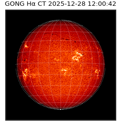 gong - 2025-12-28T12:00:42