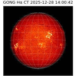 gong - 2025-12-28T14:00:42