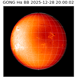gong - 2025-12-28T20:00:02