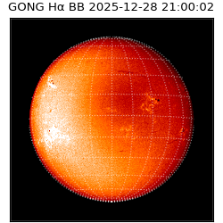 gong - 2025-12-28T21:00:02