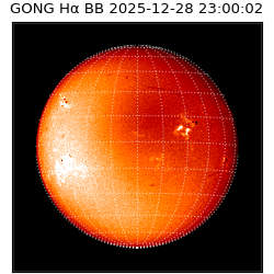 gong - 2025-12-28T23:00:02