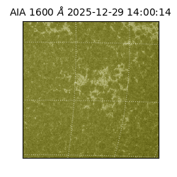 saia - 2025-12-29T14:00:14.126000