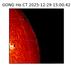 gong - 2025-12-29T15:00:42