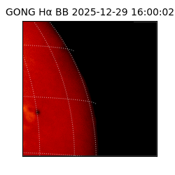 gong - 2025-12-29T16:00:02