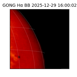gong - 2025-12-29T16:00:02