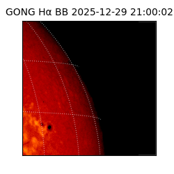 gong - 2025-12-29T21:00:02