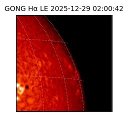 gong - 2025-12-29T02:00:42