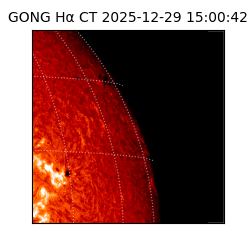gong - 2025-12-29T15:00:42