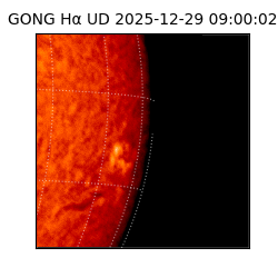 gong - 2025-12-29T09:00:02