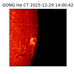 gong - 2025-12-29T14:00:42