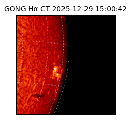 gong - 2025-12-29T15:00:42