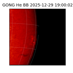 gong - 2025-12-29T19:00:02
