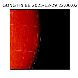 gong - 2025-12-29T22:00:02