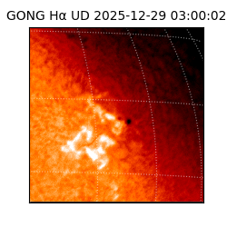 gong - 2025-12-29T03:00:02
