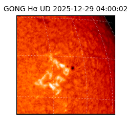 gong - 2025-12-29T04:00:02