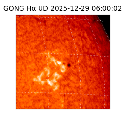 gong - 2025-12-29T06:00:02