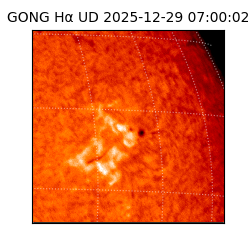 gong - 2025-12-29T07:00:02