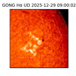gong - 2025-12-29T09:00:02