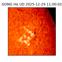 gong - 2025-12-29T11:00:02