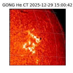 gong - 2025-12-29T15:00:42