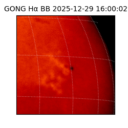 gong - 2025-12-29T16:00:02