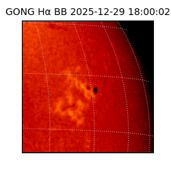 gong - 2025-12-29T18:00:02