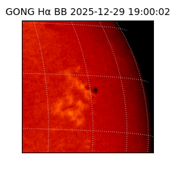 gong - 2025-12-29T19:00:02