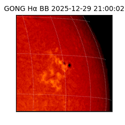 gong - 2025-12-29T21:00:02