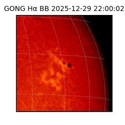 gong - 2025-12-29T22:00:02