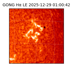 gong - 2025-12-29T01:00:42