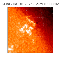 gong - 2025-12-29T03:00:02