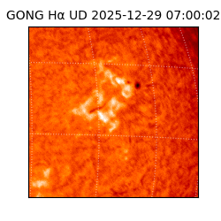 gong - 2025-12-29T07:00:02